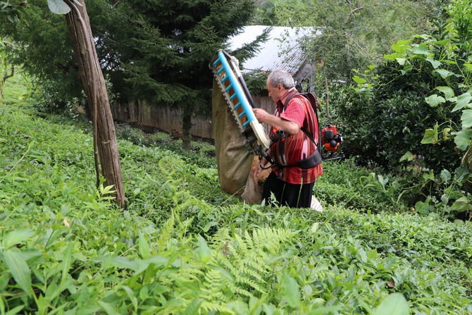 rizenin-findikli-ilcesi-ihlamurlu-koyunde-yasayan-cay-mustahsili-hayrettin-civelek,-gelistirdigi-makine-sayesinde-gunde-1-ton-cay-topluyor-(2).jpg