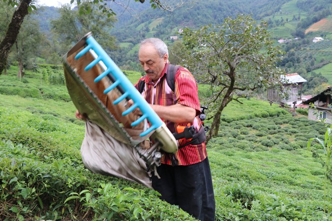 rizenin-findikli-ilcesi-ihlamurlu-koyunde-yasayan-cay-mustahsili-hayrettin-civelek,-gelistirdigi-makine-sayesinde-gunde-1-ton-cay-topluyor-(3).jpg