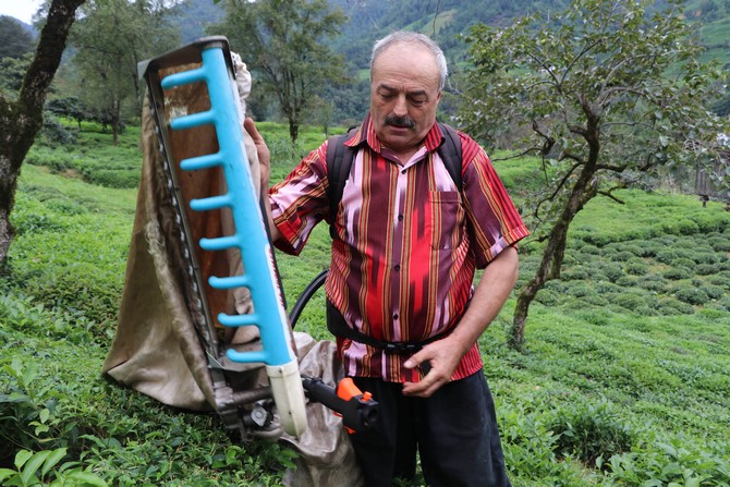 rizenin-findikli-ilcesi-ihlamurlu-koyunde-yasayan-cay-mustahsili-hayrettin-civelek,-gelistirdigi-makine-sayesinde-gunde-1-ton-cay-topluyor-(5).jpg