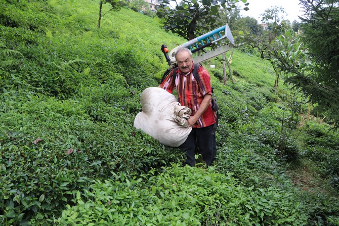 rizenin-findikli-ilcesi-ihlamurlu-koyunde-yasayan-cay-mustahsili-hayrettin-civelek,-gelistirdigi-makine-sayesinde-gunde-1-ton-cay-topluyor-(7).jpg