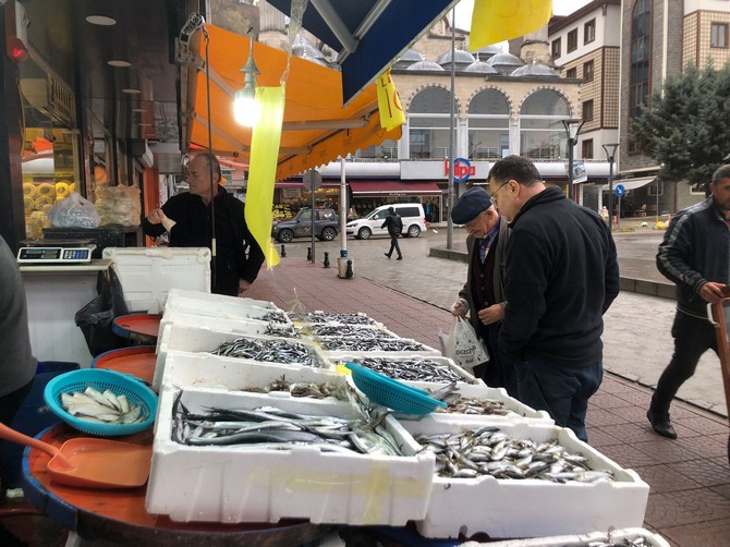 rizenin-pazar-ilcesinde-bir-balikci-hamsinin-kilogram-fiyatini-10-tlye-dusurerek-satisa-basladi-2.jpg