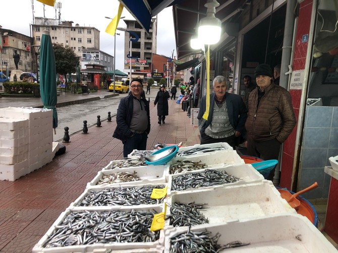 rizenin-pazar-ilcesinde-bir-balikci-hamsinin-kilogram-fiyatini-10-tlye-dusurerek-satisa-basladi-3.jpg