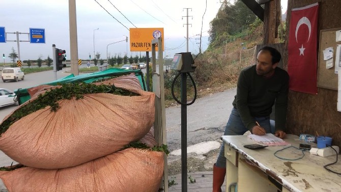 rizenin-pazar-ilcesinde-ozel-sektorun-cay-alimi-devam-ediyor-2.jpg