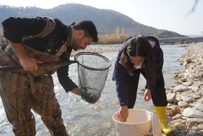 rteu-su-urunleri-fakultesi-dekan-yardimcisi-doc-dr-cuneyt-kaya-ve-ars-gor-dr-munevver-oral-dunyanin-en-cok-aranan-10-balik-turunden-biri-olan-batman-bantli-copcu-baligini-buldu-13.jpg