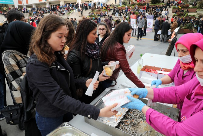 rteulu-ogrencilerden-hamsi-festivaline-yogun-ilgi-(5).jpg