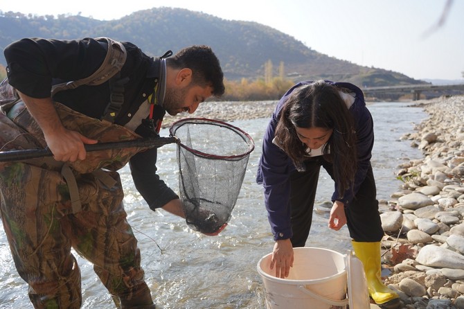 rteulu-ogretim-uyelerinin-yarim-asirdir-gorulmeyen-balik-turunu-bulmasi-arastirmacilari-harekete-gecirdi-2.jpg