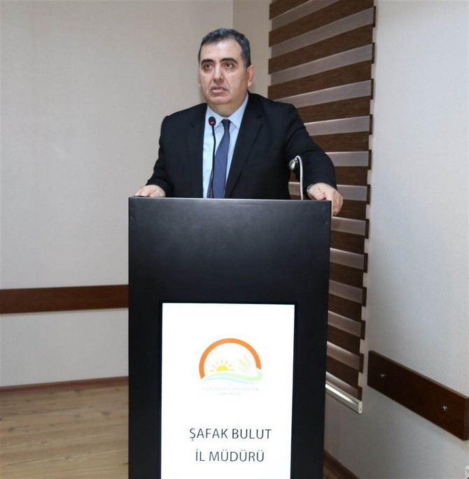 safak-bulut-001.jpg