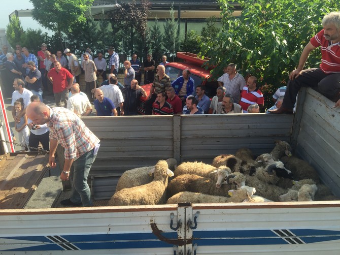 sedat-peker,-rize’ye-3-tir-dolusu-kurban-gonderdi-(4).jpg