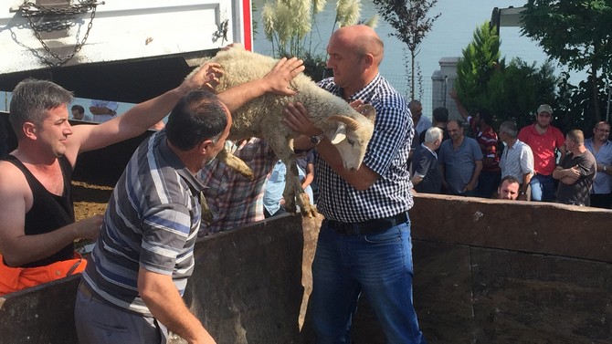 sedat-peker,-rize’ye-3-tir-dolusu-kurban-gonderdi-(9).jpg