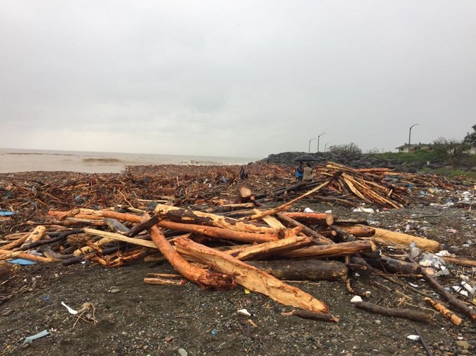 sele-kapilarak-denize-ulasan-odunlardan-ve-kutuklerden-kislik-odun-ihtiyaclarini-karsiliyorlar-(3).jpg
