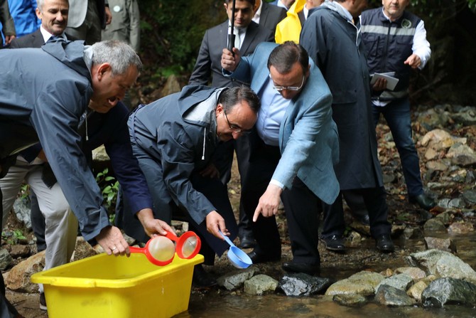 tarim-ve-orman-bakan-yardimcisi-akif-ozkaldi,-camlihemsin-ilcesi-firtina-vadisindeki-duzenlenen-alabalik-salimi-etkinligine-katildi-(3).jpg