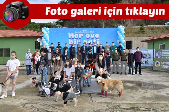 trabzon’da-4-ekim-dunya-hayvanlar-gununde-kopekler-podyumda-boy-gosterdi.jpg