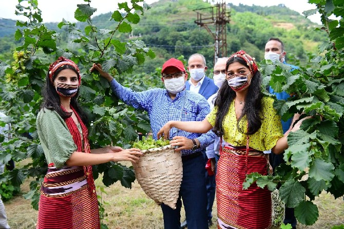 trabzon’da-findik-hasadina-baslandi-(1).jpg