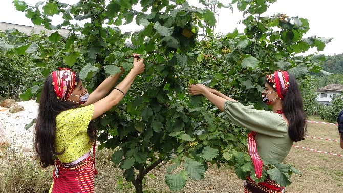 trabzon’da-findik-hasadina-baslandi-(4).jpg