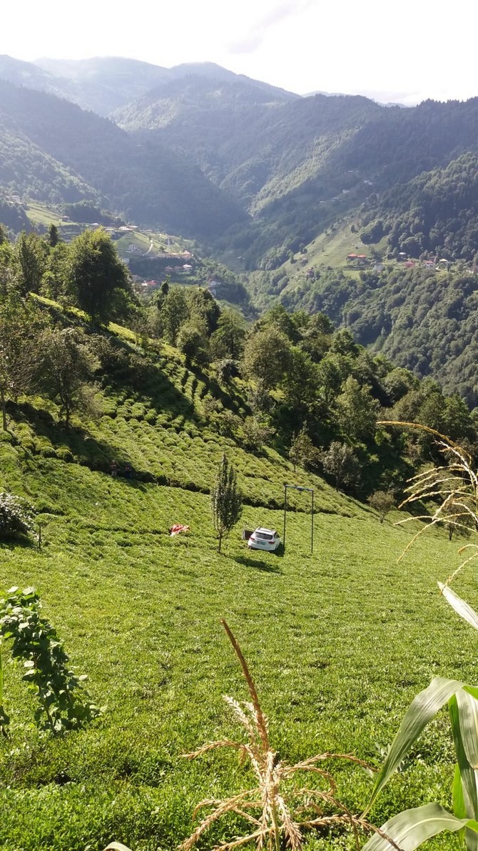 trabzon’da-otomobil-cay-bahcesine-uctu-1-olu-(4).jpg