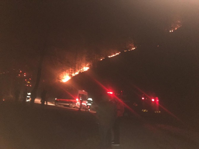 trabzon’un-arakli,-arsin,-caykara-ve-surmene-ilceleri-ile-giresun’un-eynesil-ilcesinde-ormanlik-alanlarda-bugun-aksam-saatlerinde-sicak-hava-ve-ruzgarin-etkisi-ile-orman-yanginlari-cikti-(4).jpg