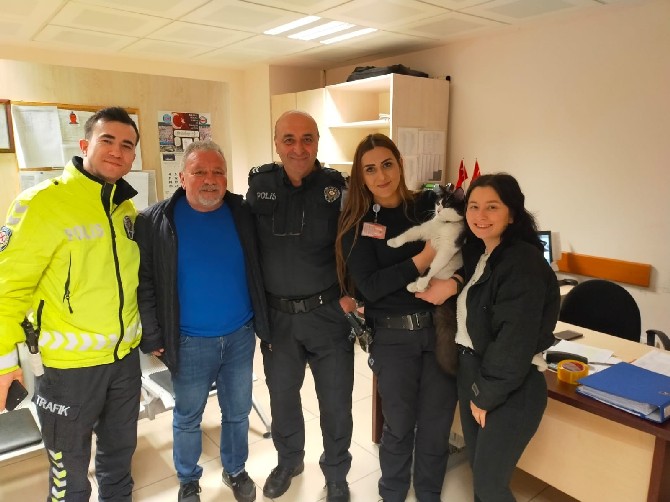 trabzon-havalimaninda-kedi-yakalama-operasyonu-4.jpg