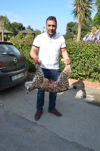 trabzonda-nesli-tukenmekte-olan-vasak-olu-bulundu2.jpg