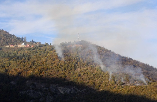 trabzonda-ormanlik-alana-sicrayan-yangina-mudahale-ediliyor-(2).jpg