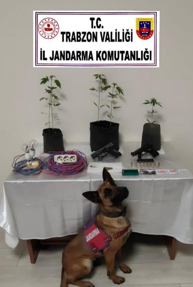 trabzonun-of-ilcesinde-ozel-duzenekle-uyusturucu-uretimine-jandarma-ekiplerince-baskin-yapildi-3.jpg