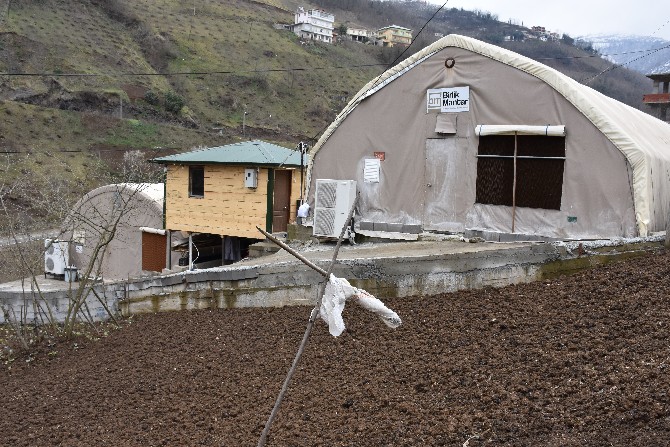 trabzonun-ortahisar-ilcesinde-yasayan-30-yasindaki-harita-muhendisi-merve-ulusoy,-yillik-30-ton-mantar-uretimi-gerceklestirince-meslegini-birakip-uretici-oldu-(8).jpg
