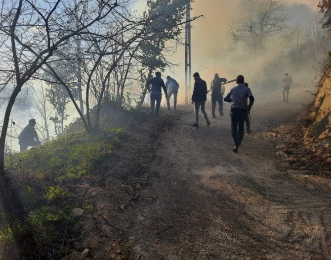 trabzonun-surmene-ilcesinde-bahce-temizligi-orman-yanginina-neden-oldu-4.jpg