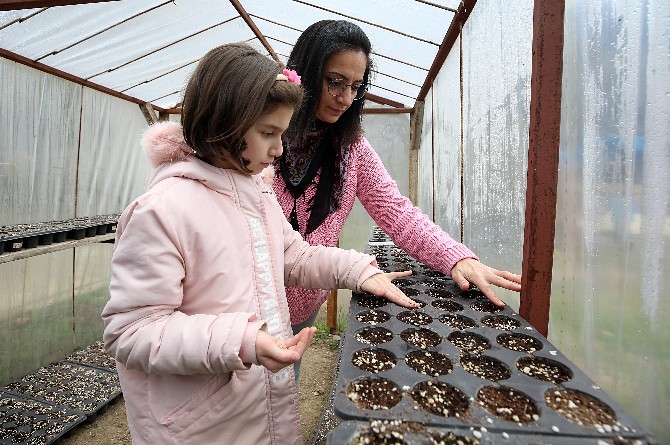 trabzonun-surmene-ilcesindeki-bir-ilkokulda-arka-bahcede-hayat-var-adli-proje-baslatan-sinif-ogretmeni-pinar-binan-topladigi-ata-tohumlarini-okul-bahcesi-ve-serasinda-dikerek-ogrencileriyle-sebze-ve-meyve-1.jpg