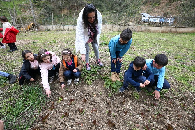 trabzonun-surmene-ilcesindeki-bir-ilkokulda-arka-bahcede-hayat-var-adli-proje-baslatan-sinif-ogretmeni-pinar-binan-topladigi-ata-tohumlarini-okul-bahcesi-ve-serasinda-dikerek-ogrencileriyle-sebze-ve-meyve-3.jpg