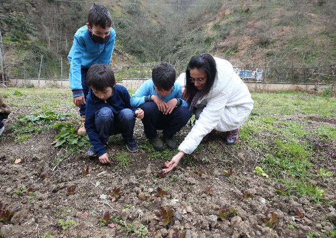 trabzonun-surmene-ilcesindeki-bir-ilkokulda-arka-bahcede-hayat-var-adli-proje-baslatan-sinif-ogretmeni-pinar-binan-topladigi-ata-tohumlarini-okul-bahcesi-ve-serasinda-dikerek-ogrencileriyle-sebze-ve-meyve.jpg
