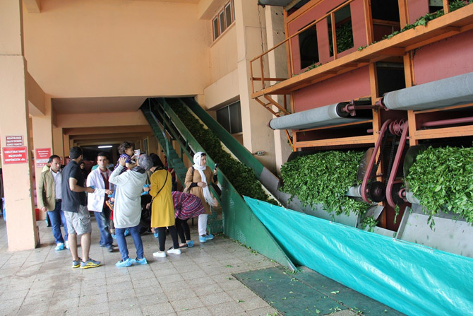 turk-cayina-arap-ilgisi1.jpg turk-cayina-arap-ilgisi1.jpg