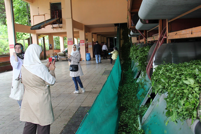 turk-cayina-arap-ilgisi2.jpg turk-cayina-arap-ilgisi2.jpg