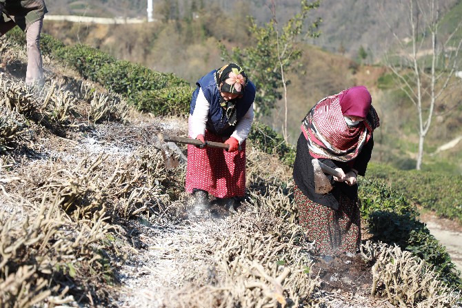 turkiyede-cay-tariminin-yuzde-65inin-gerceklestirildigi-rizede-ureticiler-dogru-gubreleme-konusunda-bilgilendiriliyor-5.jpg