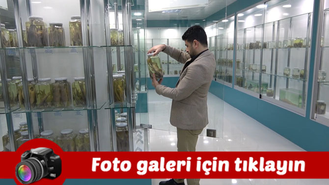 turkiyenin-en-zengin-balik-muzesine-yurt-disindan-yogun-ilgi.jpg