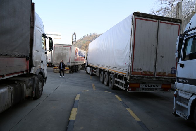 turkiyeye-11-tir-kacak-ceviz-ve-fistik-getirildi-(1).jpg