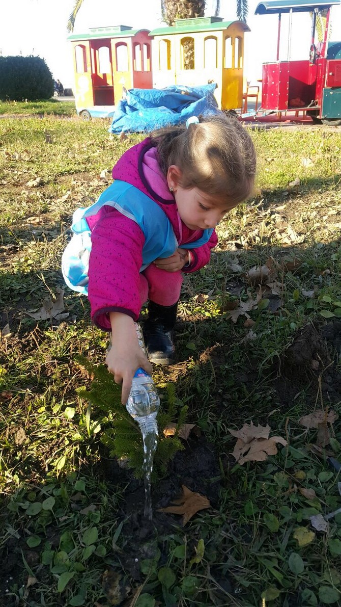 yok-artik...-rize’de-minik-ellerin-diktigi-fidanlari-caldilar-(24).jpg