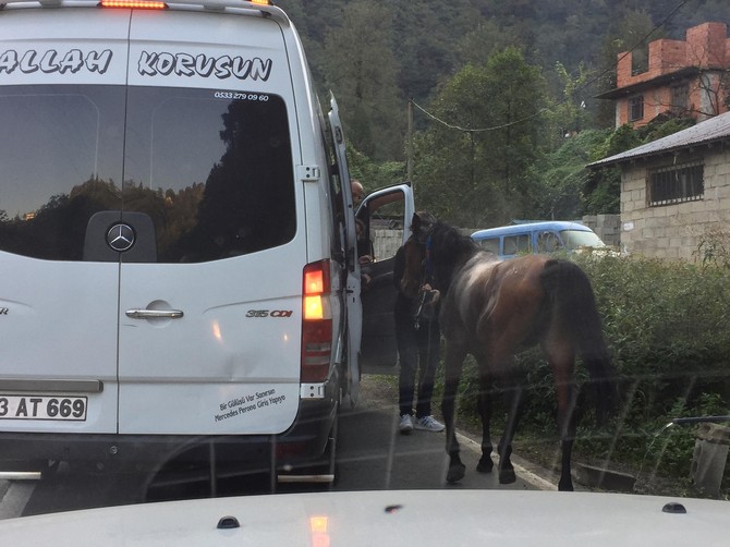 yola-cikan-sahipsiz-at-suruculere-zor-anlar-yasatti-(3).jpg